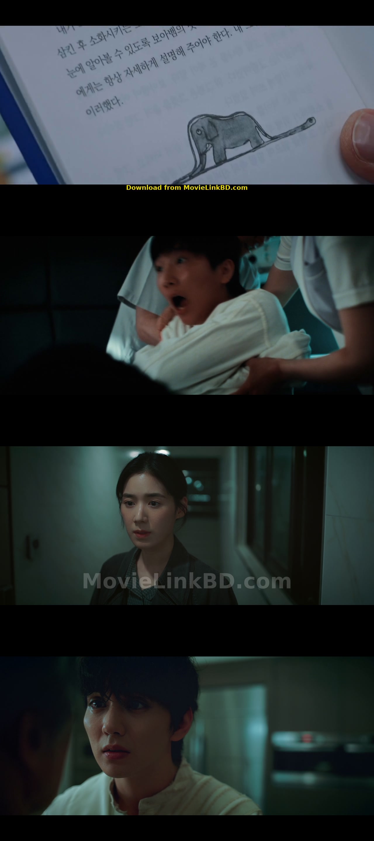 Flex x Cop  S02 [Ep01-12 Completed - Hindi Not Available (2026) &mdash; S02 &bull; Korean + With Esub on MovieLinkBD Episode 13