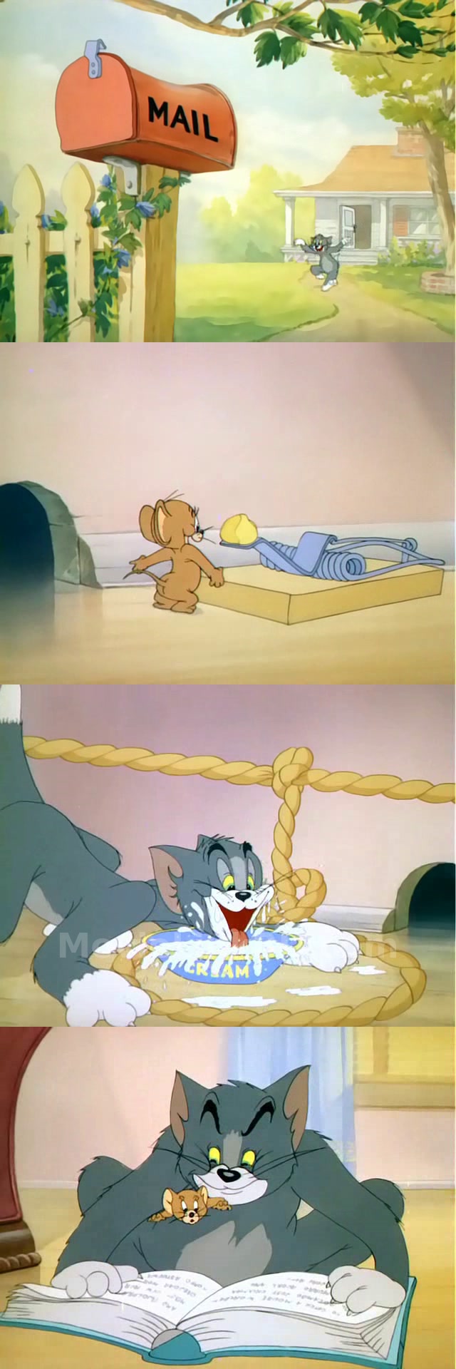 Tom and jerry -Bangla Dubbed ORG-Epi 1-48- Added-Low file size✅ (1940) &bull; Bangla Dubbed on MovieLinkBD Episode 35