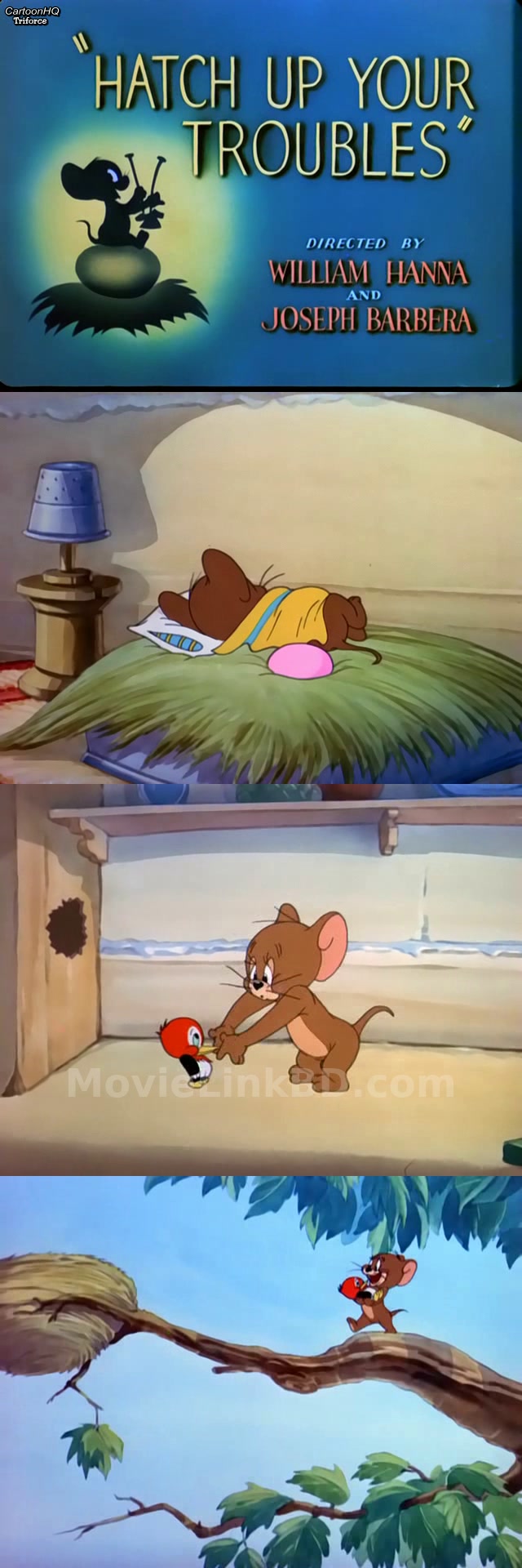 Tom and jerry -Bangla Dubbed ORG-Epi 1-48- Added-Low file size✅ (1940) &bull; Bangla Dubbed on MovieLinkBD Episode 46