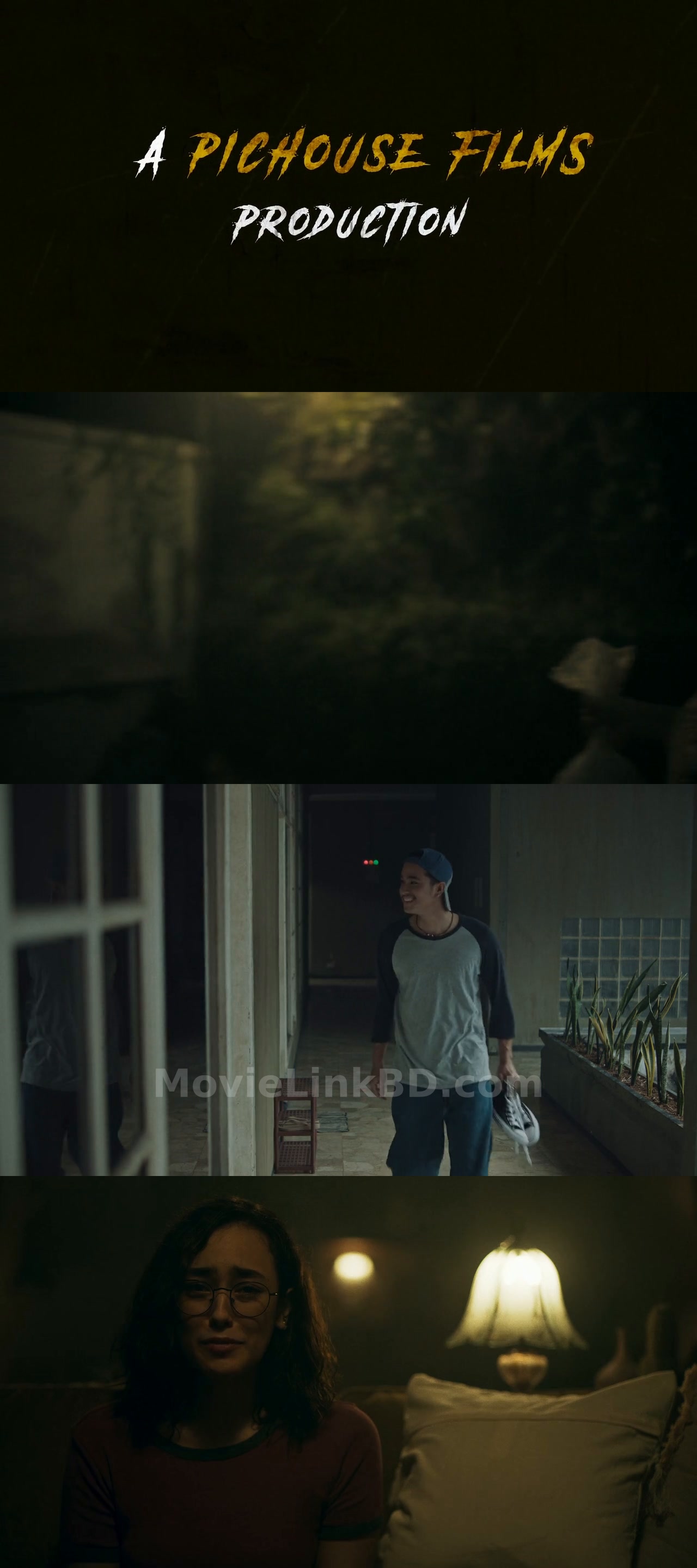 Do You See What I See  With English Subtitle (2024) Indonesian Download | MovieLinkBD TV Movie