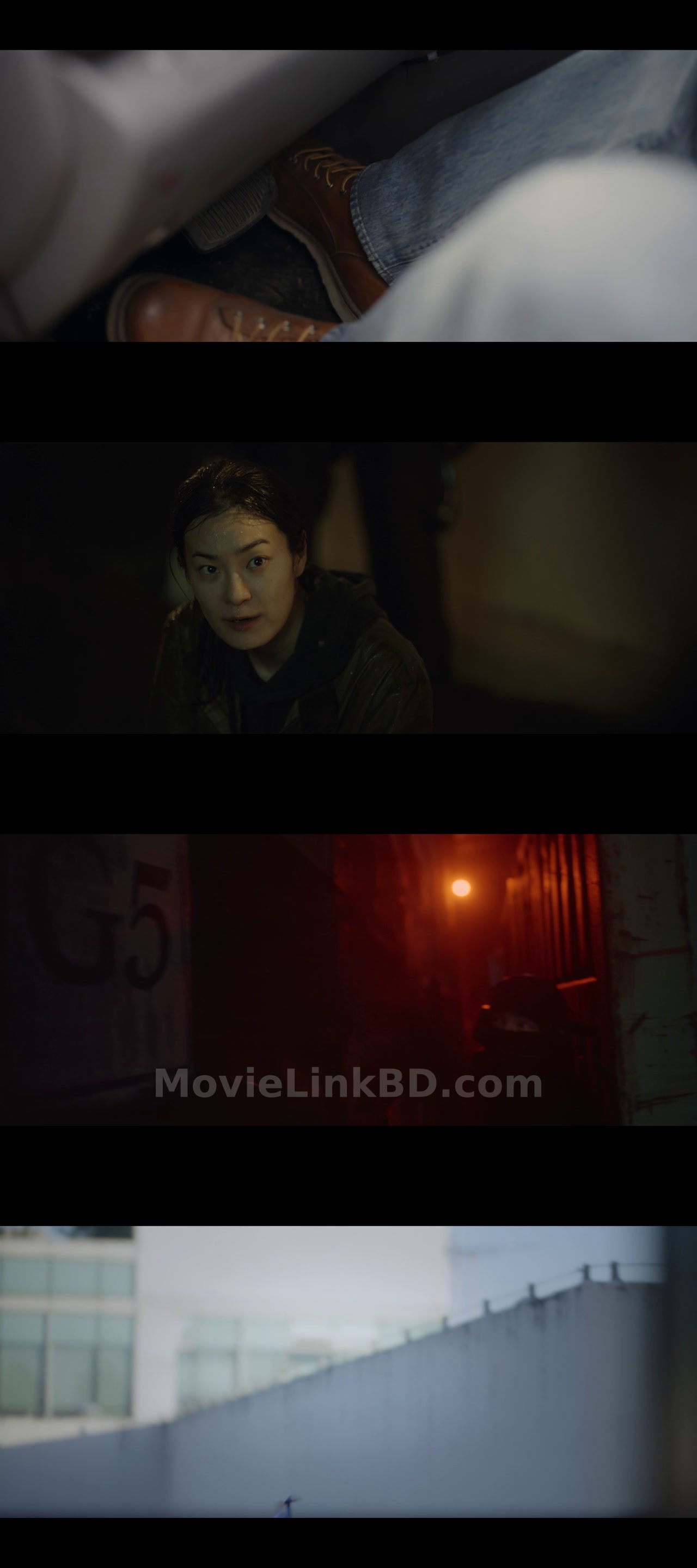 Mission: Cross  [ORG Hindi] (2024) &bull; Hindi, English, Korean on MovieLinkBD Movie