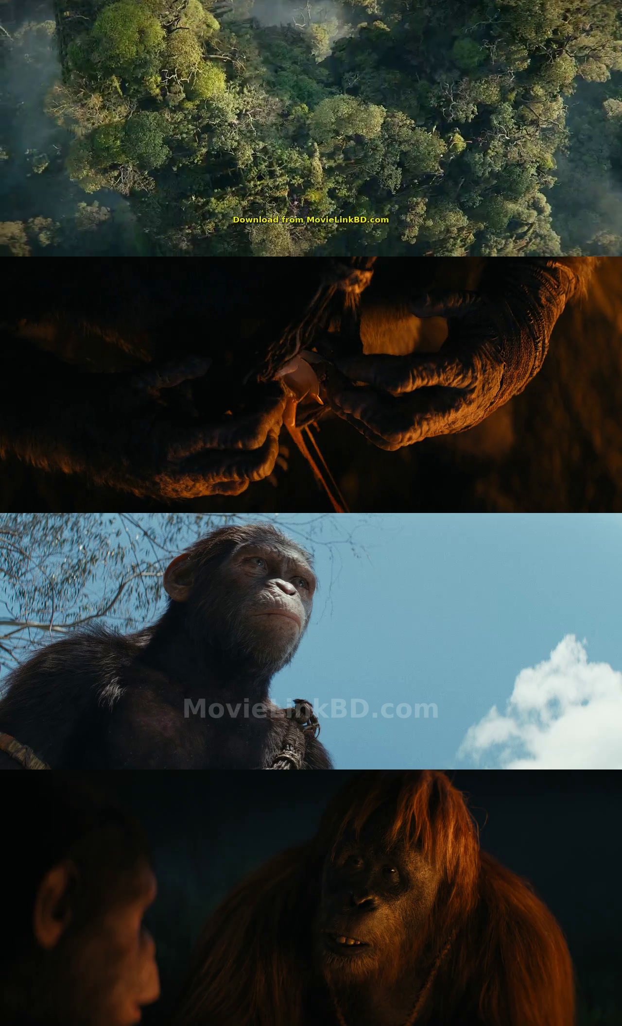 Kingdom of the Planet of the Apes  Full HD Hindi Original (2024) Hindi Download | MovieLinkBD TV Movie