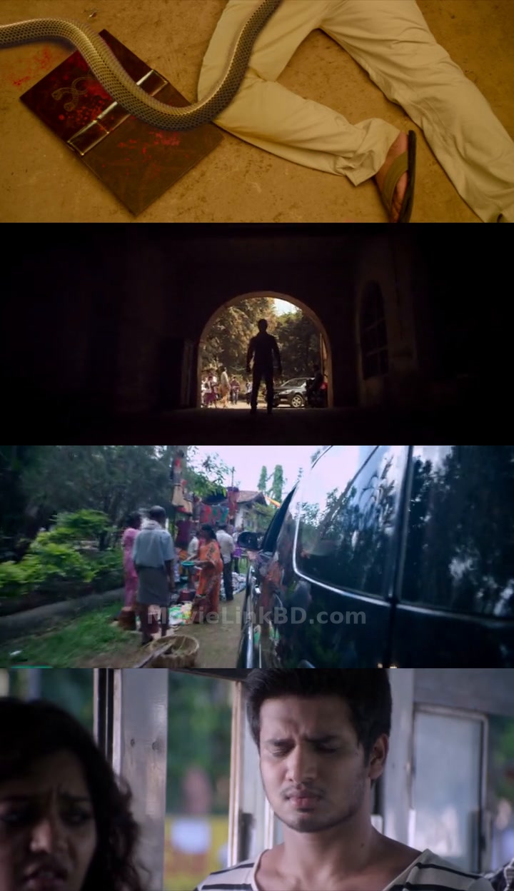 Karthikeya (2014) Hindi Download | MovieLinkBD TV Movie