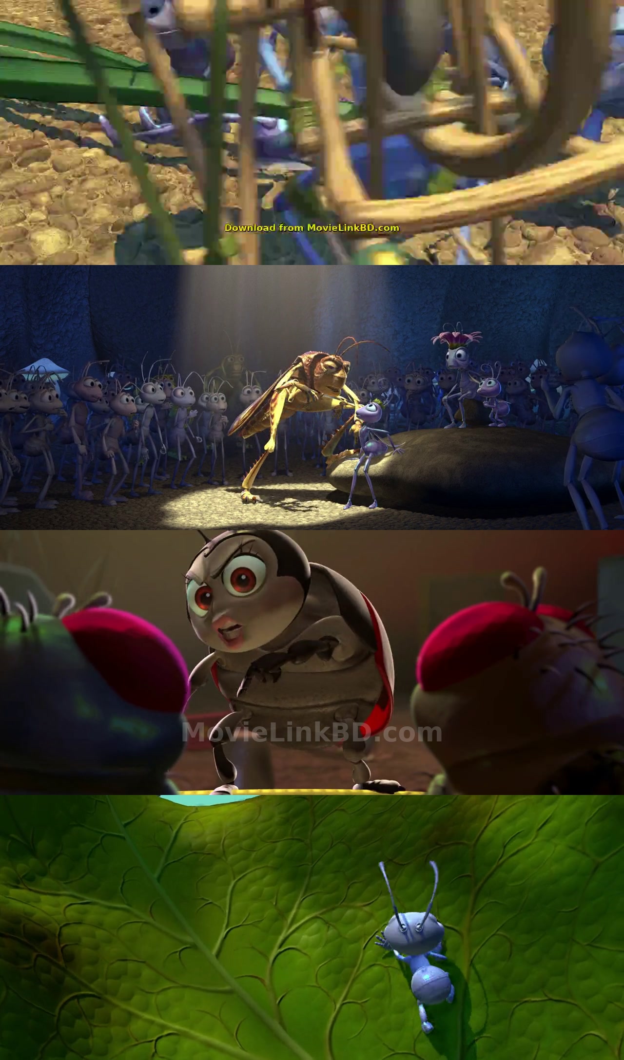 A Bug&amp;#39;s Life (1998) English Download | MovieLinkBD TV Movie