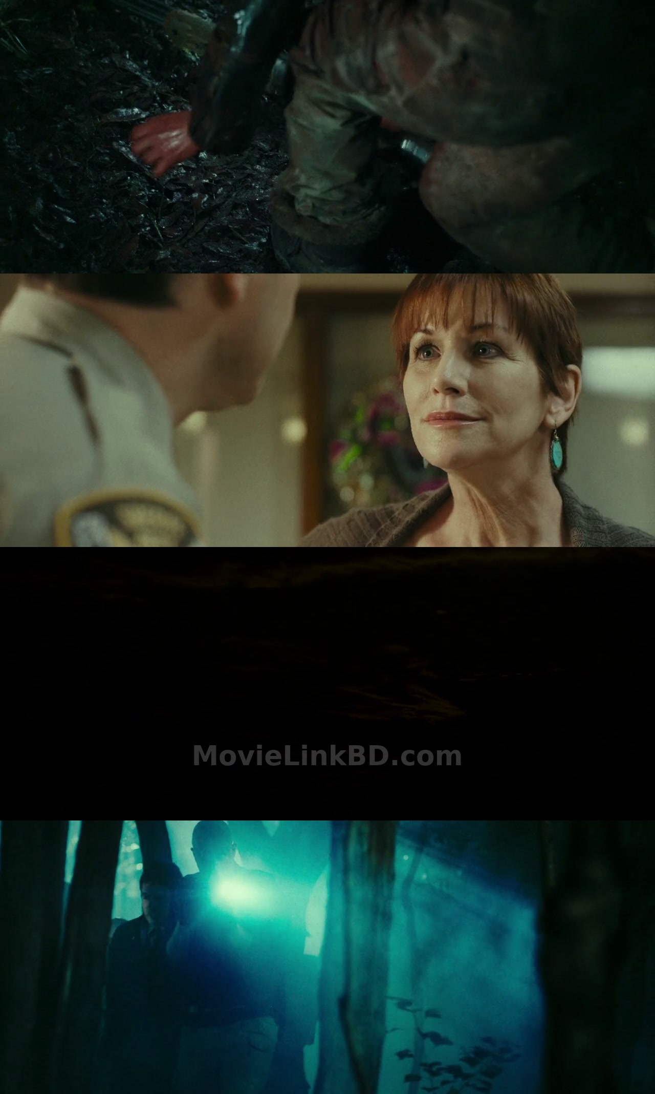 Hatchet : 3 (2013) English Download | MovieLinkBD TV Movie