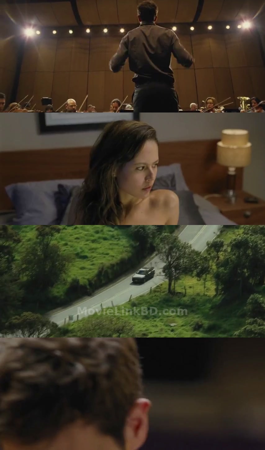 The Hidden Face (2011) Spanish Download | MovieLinkBD TV Movie
