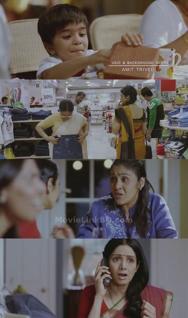 English Vinglish (2012) Hindi Download | MovieLinkBD TV Movie