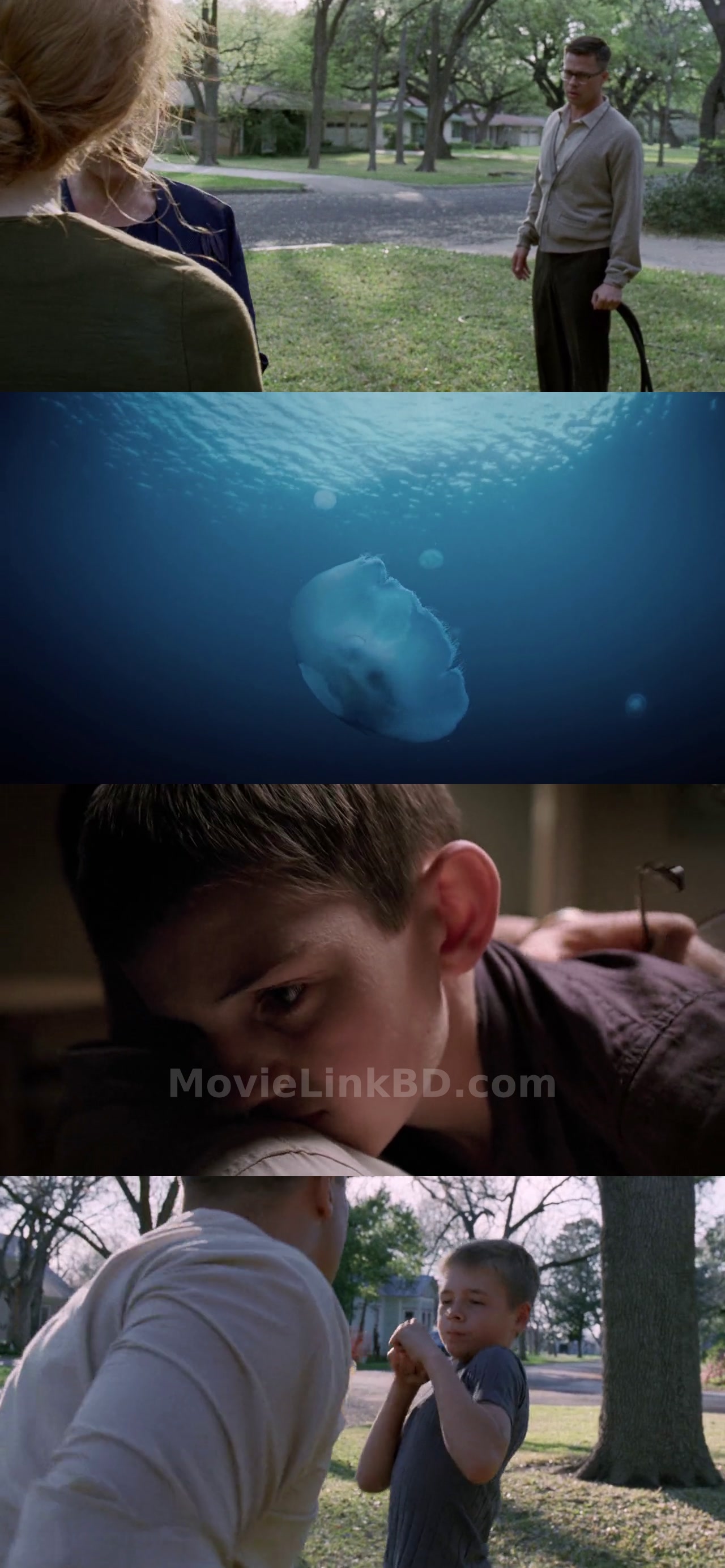 The Tree of Life (2011) N/A Download | MovieLinkBD TV Movie