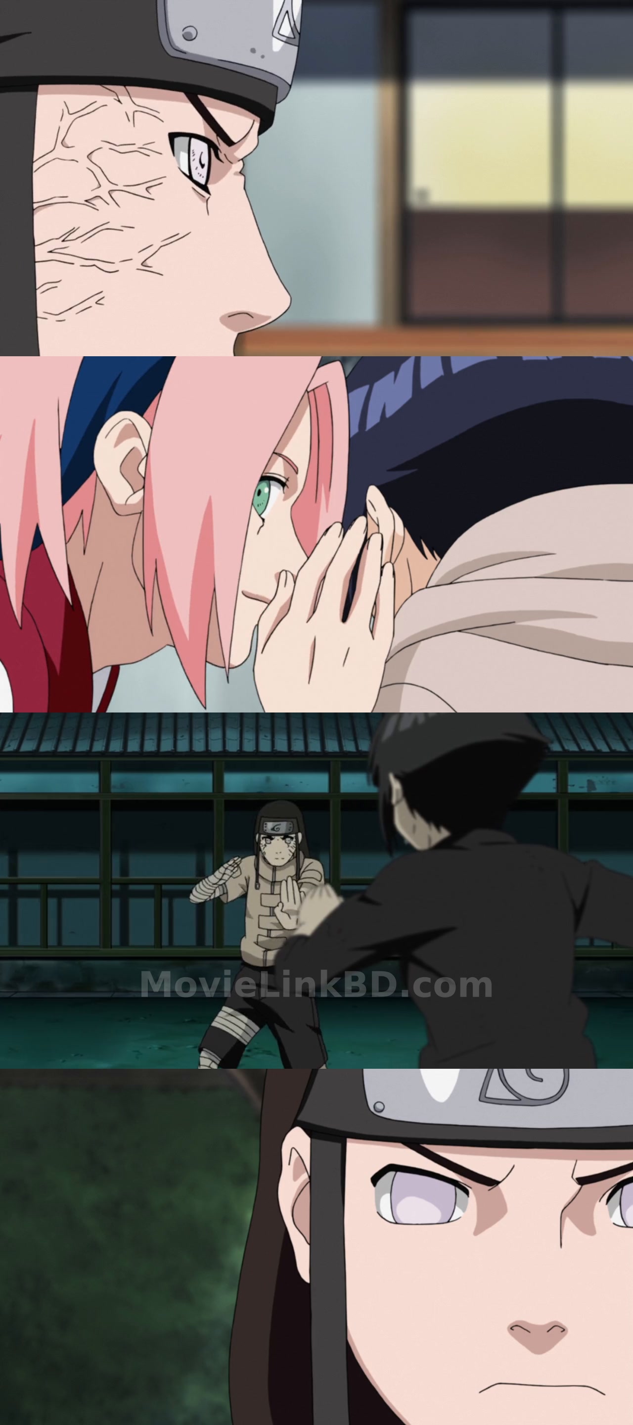 Naruto: Shippuden  S14 [Ep296-320] Completed (2007) &mdash; S14 &bull; Japanese + Hindi, English on MovieLinkBD Episode 306