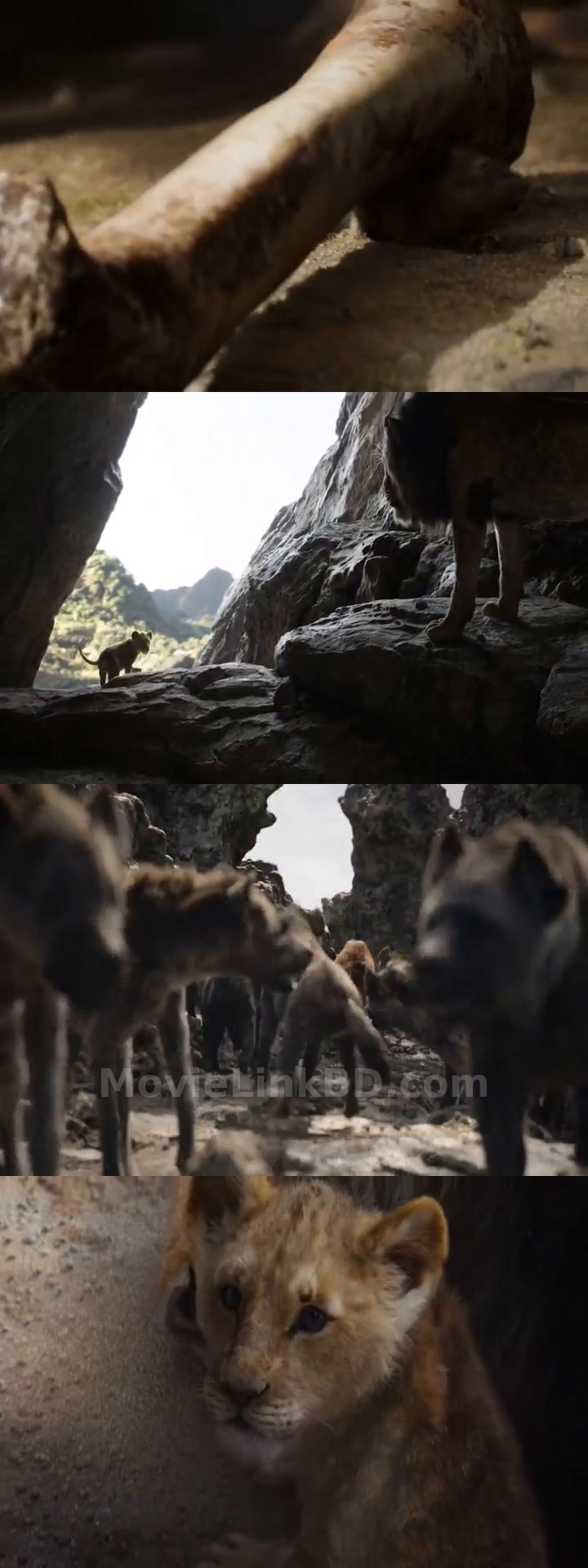 The Lion King (2019) English Download | MovieLinkBD TV Movie