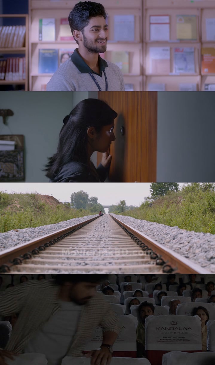 Dia (2020) Hindi Download | MovieLinkBD TV Movie