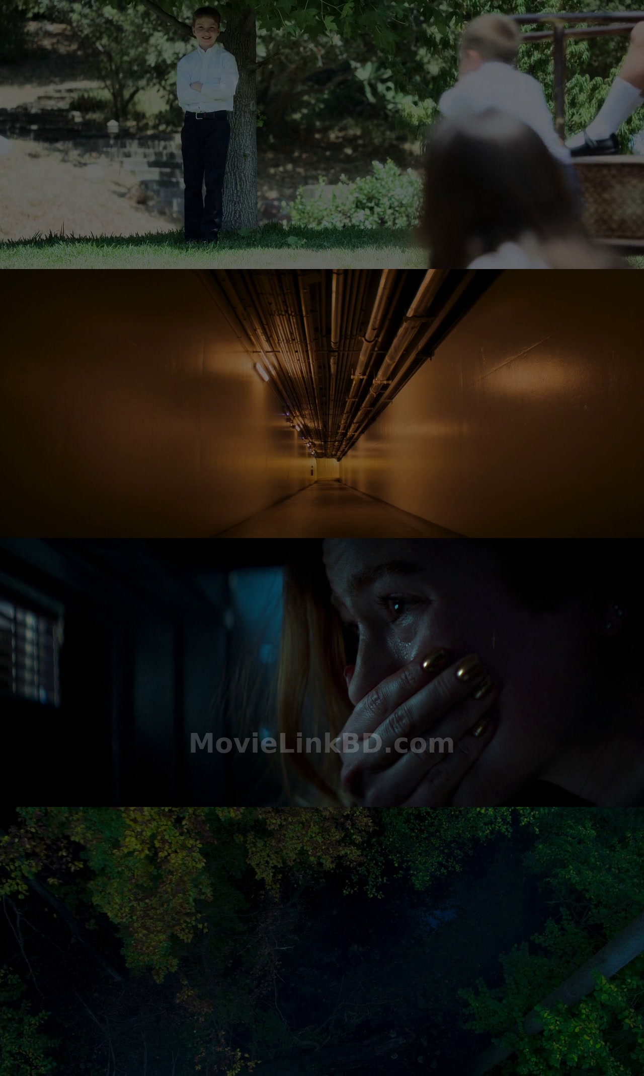 The Strangers: Chapter 2 (2025) English Download | MovieLinkBD Shop Movie