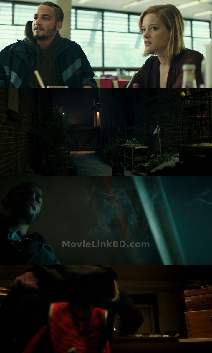 Don't Breathe (2016) Hindi Download | MovieLinkBD TV Movie