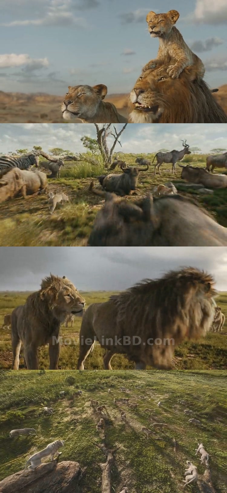 Mufasa: The Lion King  - (2024) Hindi Download | MovieLinkBD TV Movie