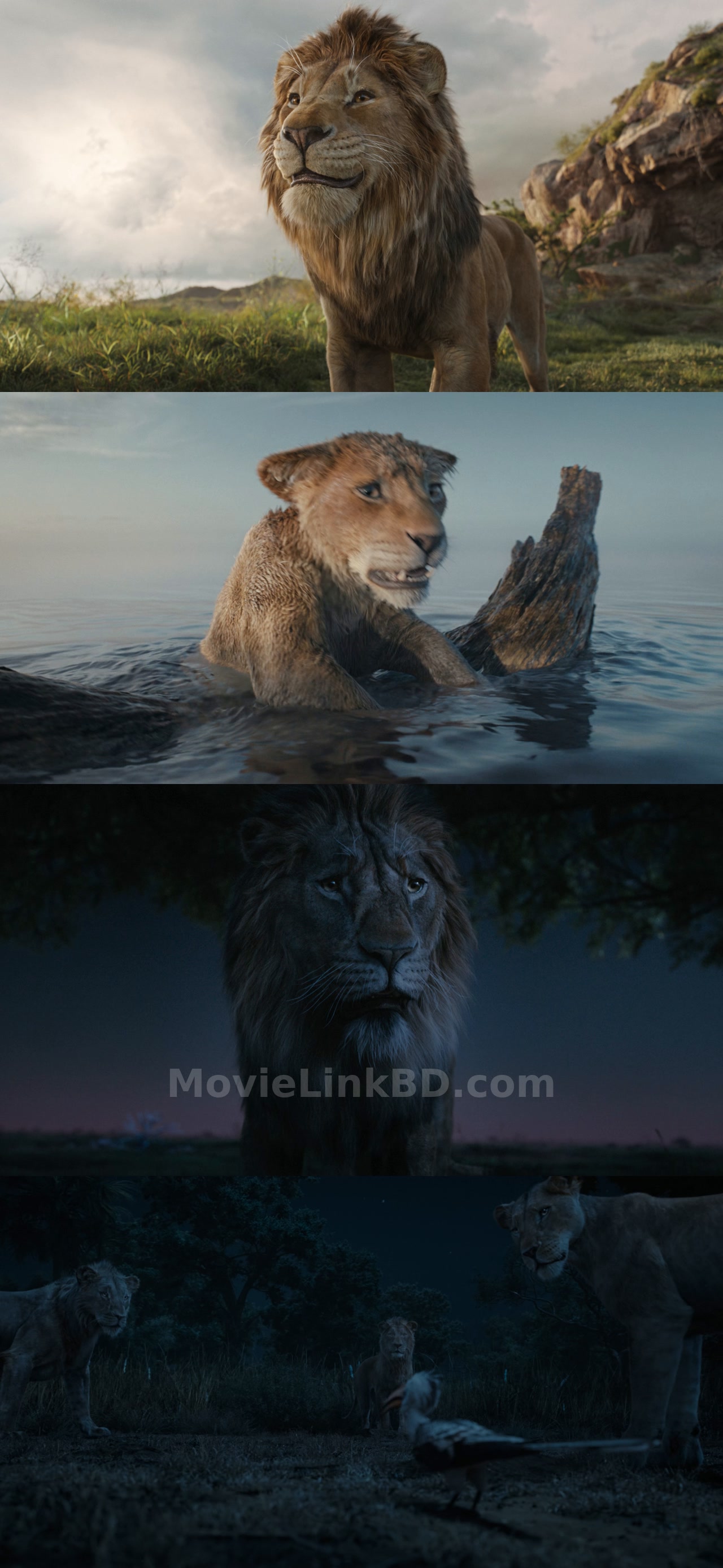 Mufasa: The Lion King  - (2024) Hindi Download | MovieLinkBD TV Movie