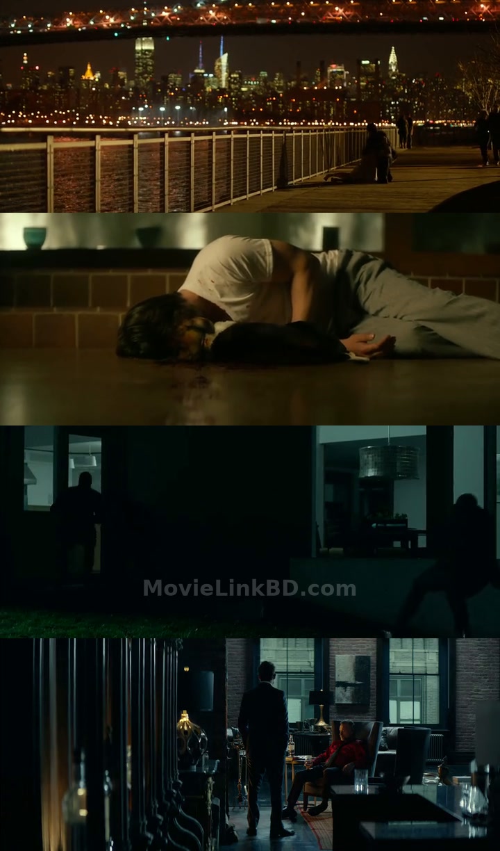 John Wick (2014) English Download | MovieLinkBD TV Movie