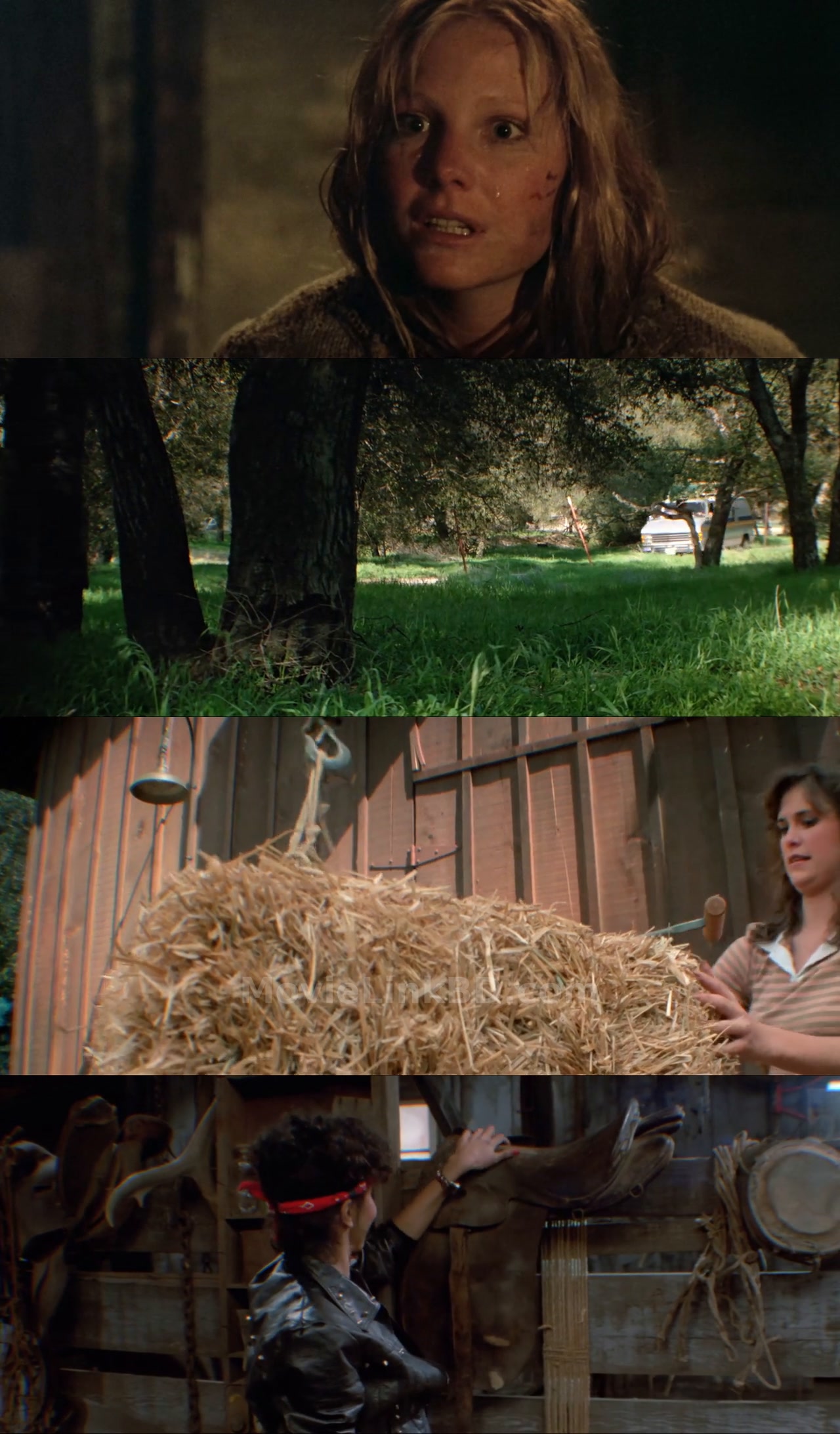 Friday the 13th Part III (1982) Dual Audio Download | MovieLinkBD Shop Movie