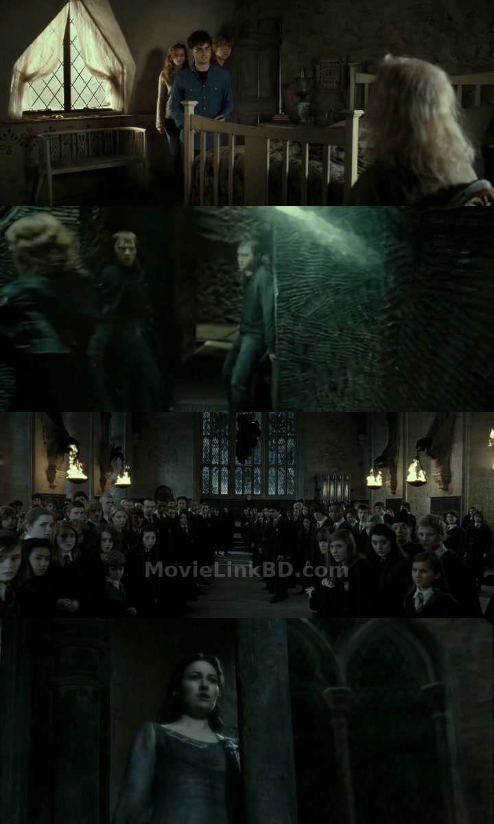 Harry Potter and the Deathly Hallows: Part 2 (2011) English Download | MovieLinkBD TV Movie