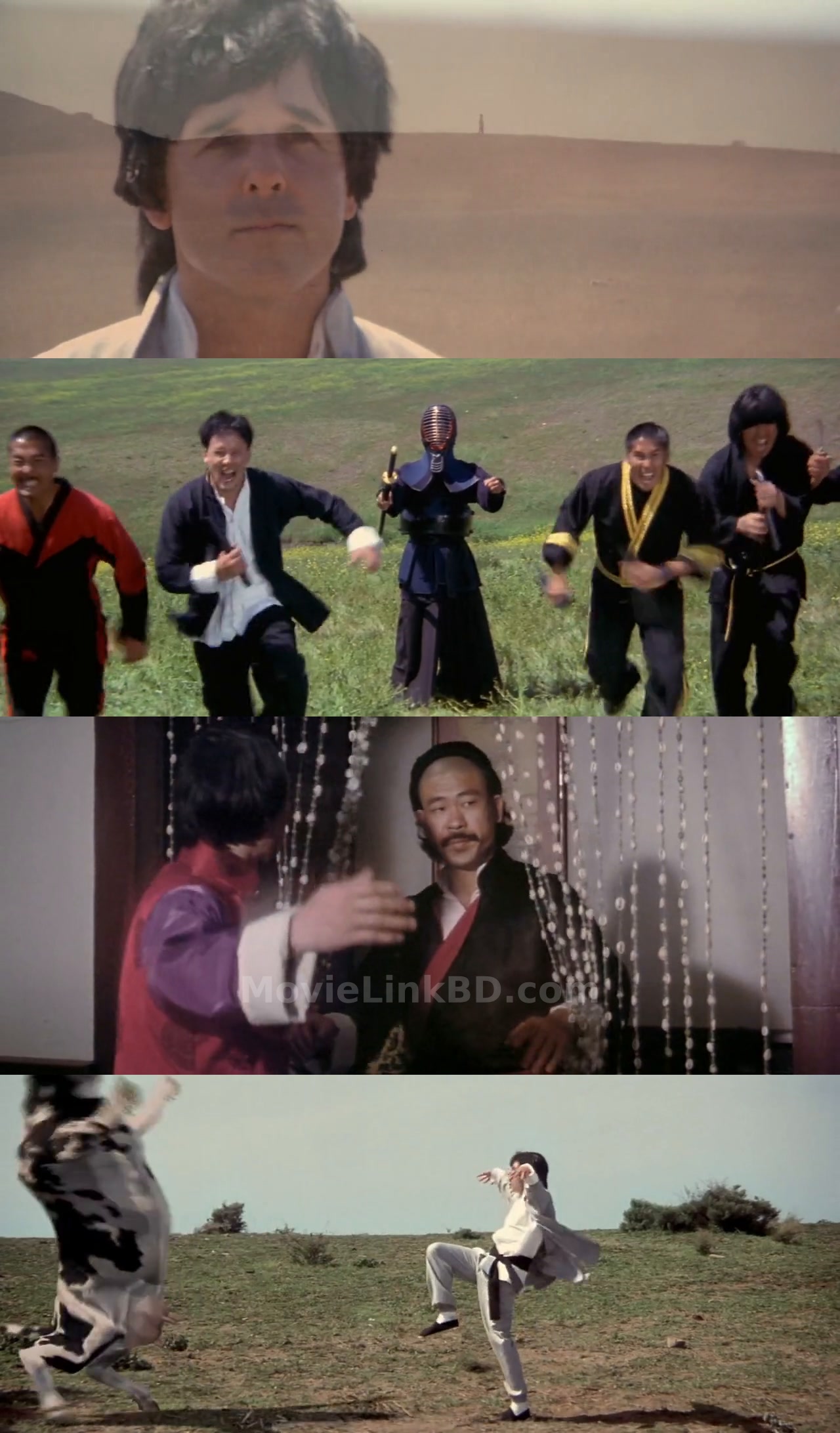 Kung Pow: Enter the Fist (2002) Hindi Download | MovieLinkBD TV Movie