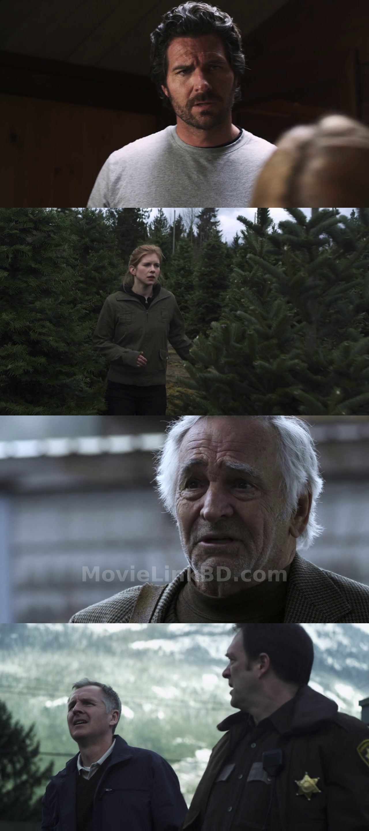 The 12 Disasters of Christmas (2012) Hindi Download | MovieLinkBD Shop Movie