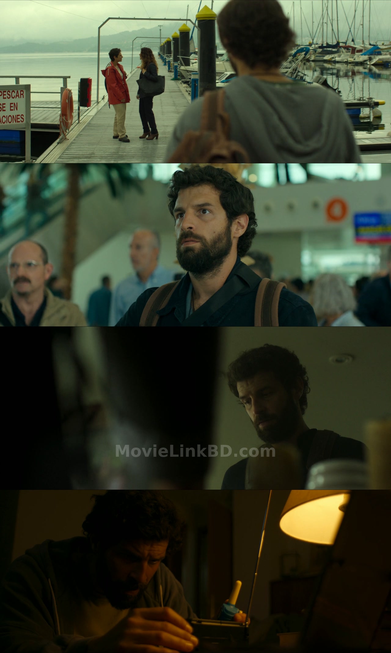 Apocalypse Z: El principio del fin (2024) Hindi Download | MovieLinkBD TV Movie