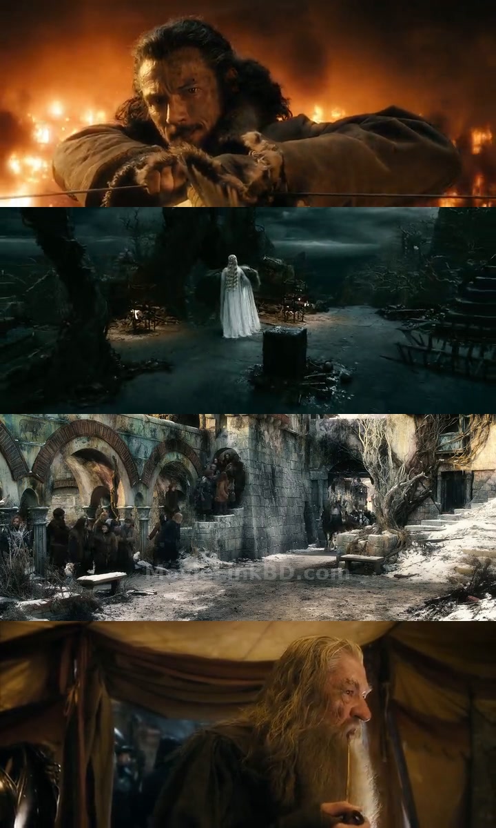 The Hobbit: The Battle of the Five Armies (2014) Hindi Download | MovieLinkBD Shop Movie
