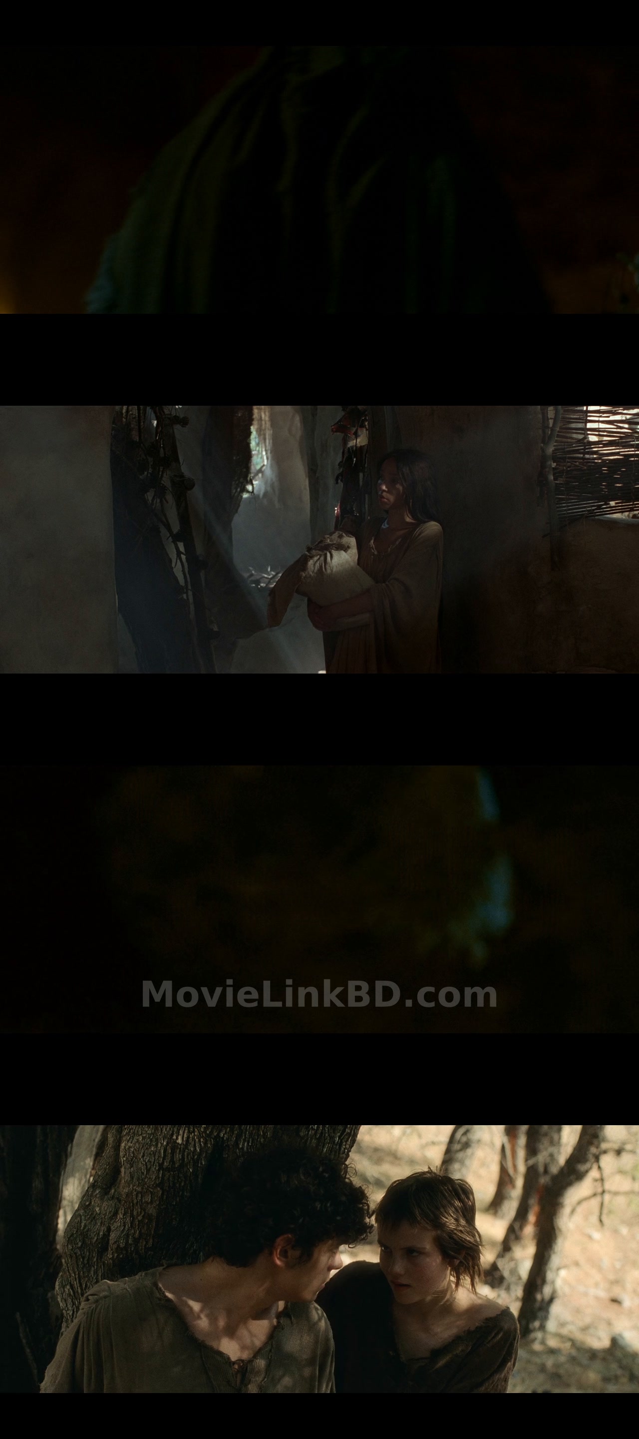 The Carpenter's Son (2025) Hindi Download | MovieLinkBD Shop Movie