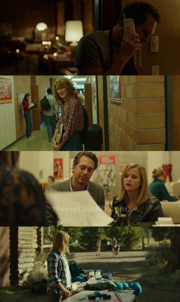 Wild (2014) English Download | MovieLinkBD Shop Movie