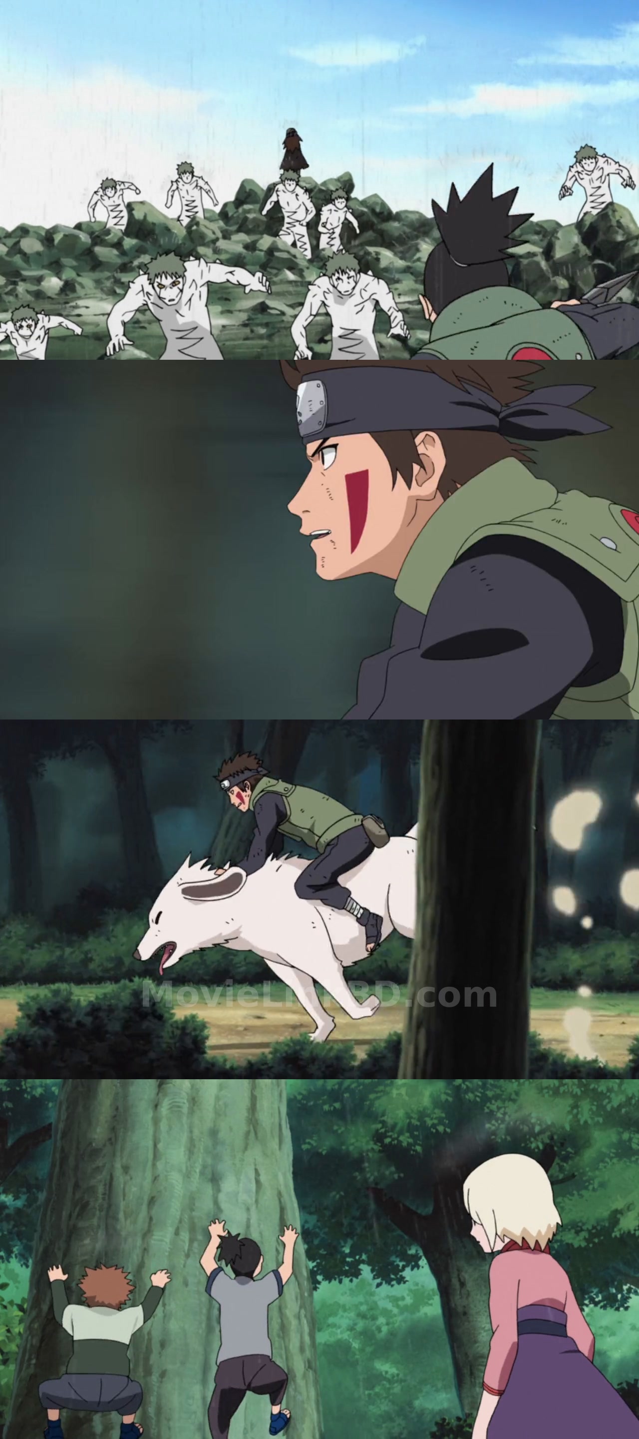 Naruto: Shippuden  Completed (2007) S14 Japanese Download | MovieLinkBD Episode 313