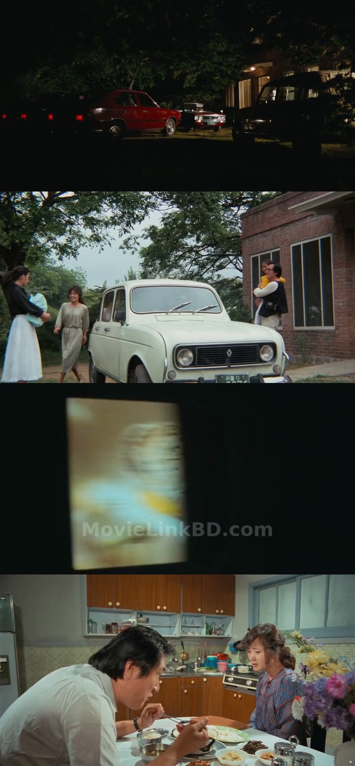 Suddenly in the Dark  Hindi ORG (1981) Korean Download | MovieLinkBD Movie