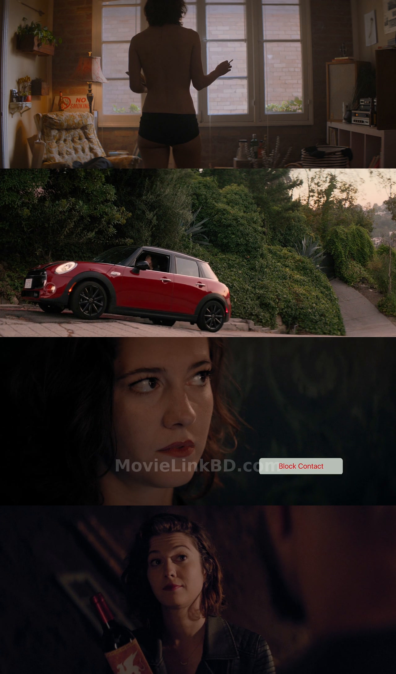 All About Nina (2018) English Download | MovieLinkBD Movie