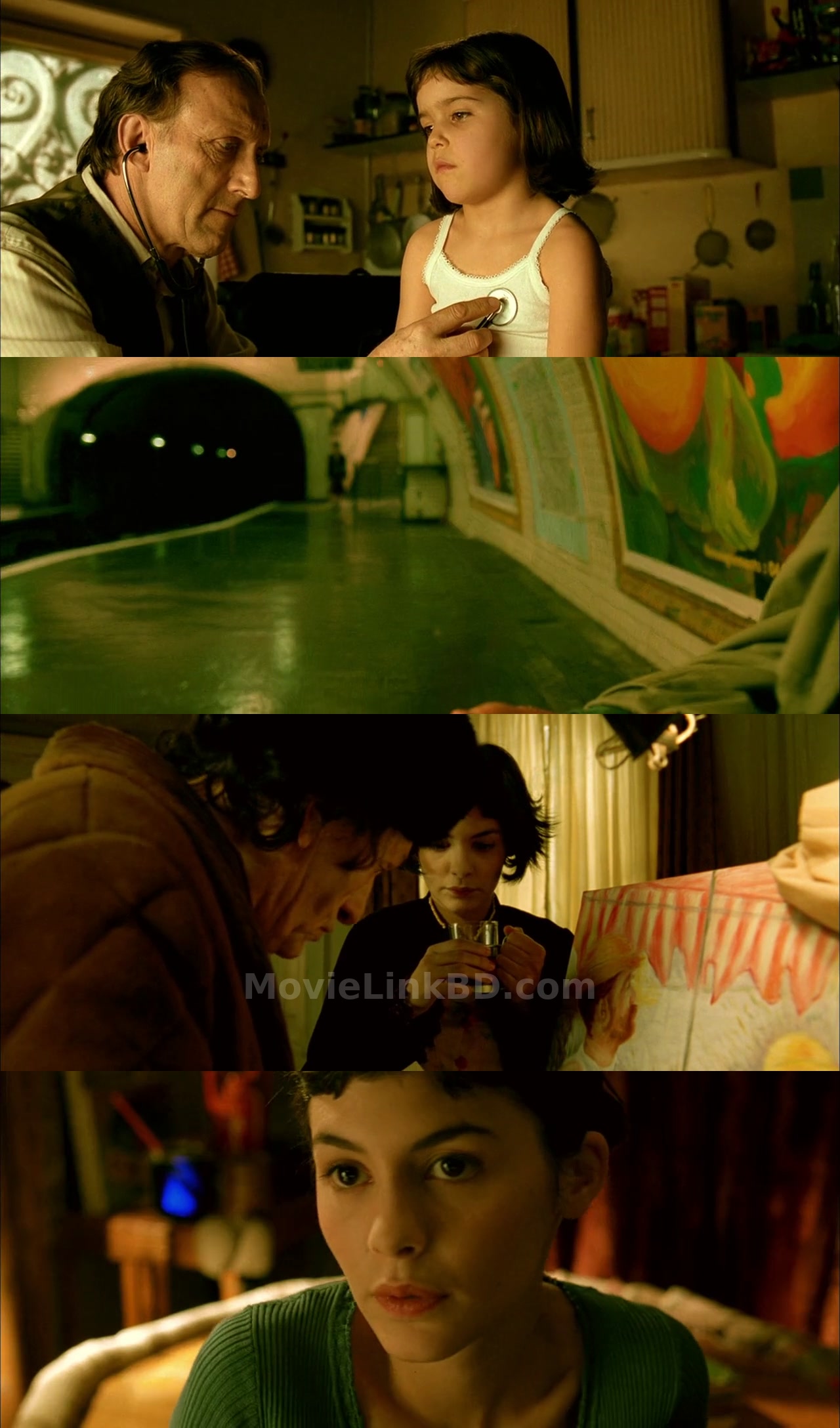 Am&eacute;lie  E-Sub (2002) French Download | MovieLinkBD Movie