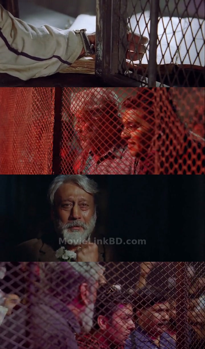 Brothers (2015) Hindi Download | MovieLinkBD Movie
