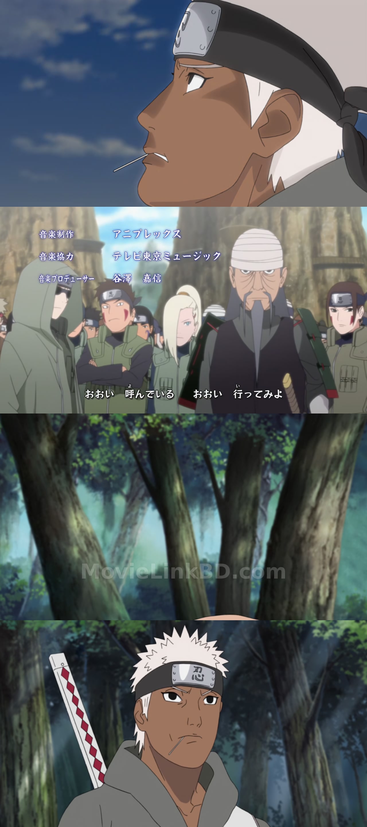Naruto: Shippuden  Hindi Dubbed (2007) S12 Hindi Download | MovieLinkBD S12E262