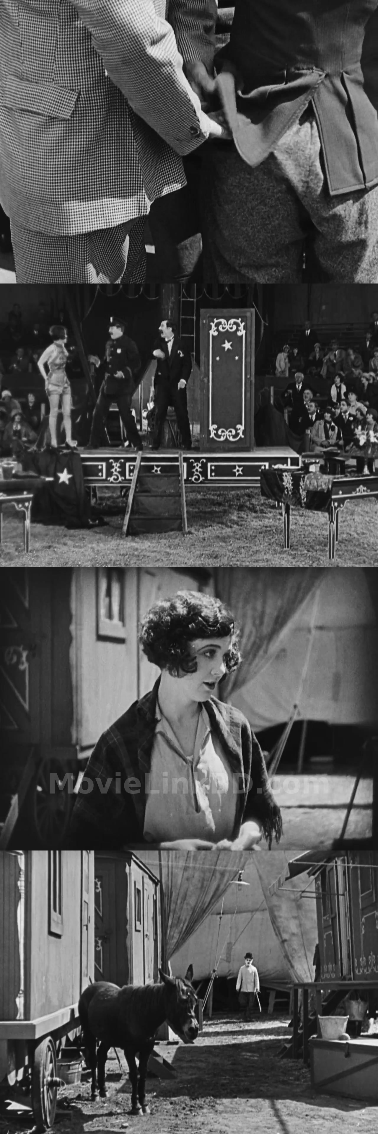 The Circus (1928) English Download | MovieLinkBD Movie