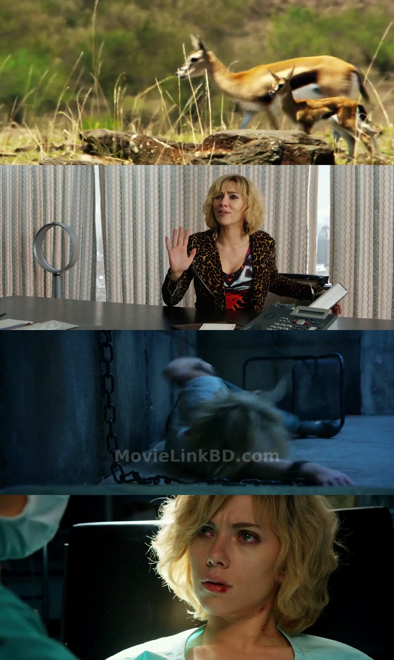 Lucy (2014) Hindi Download | MovieLinkBD Movie