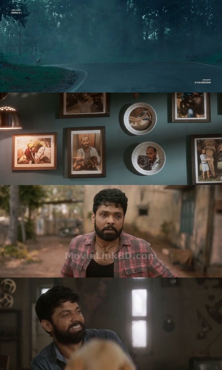 777 Charlie (2022) Hindi Download | MovieLinkBD Movie