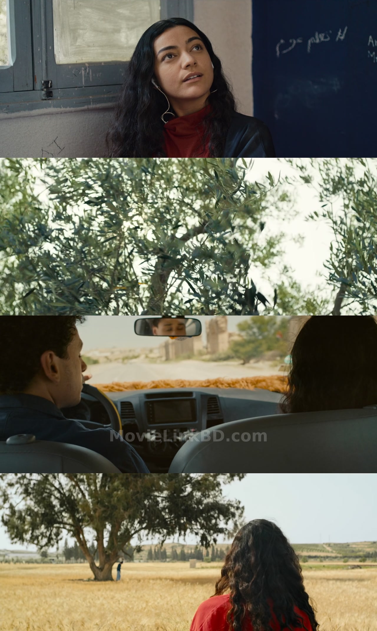 Where the Wind Comes From  Full HD (2025) Arabic Download | MovieLinkBD Movie