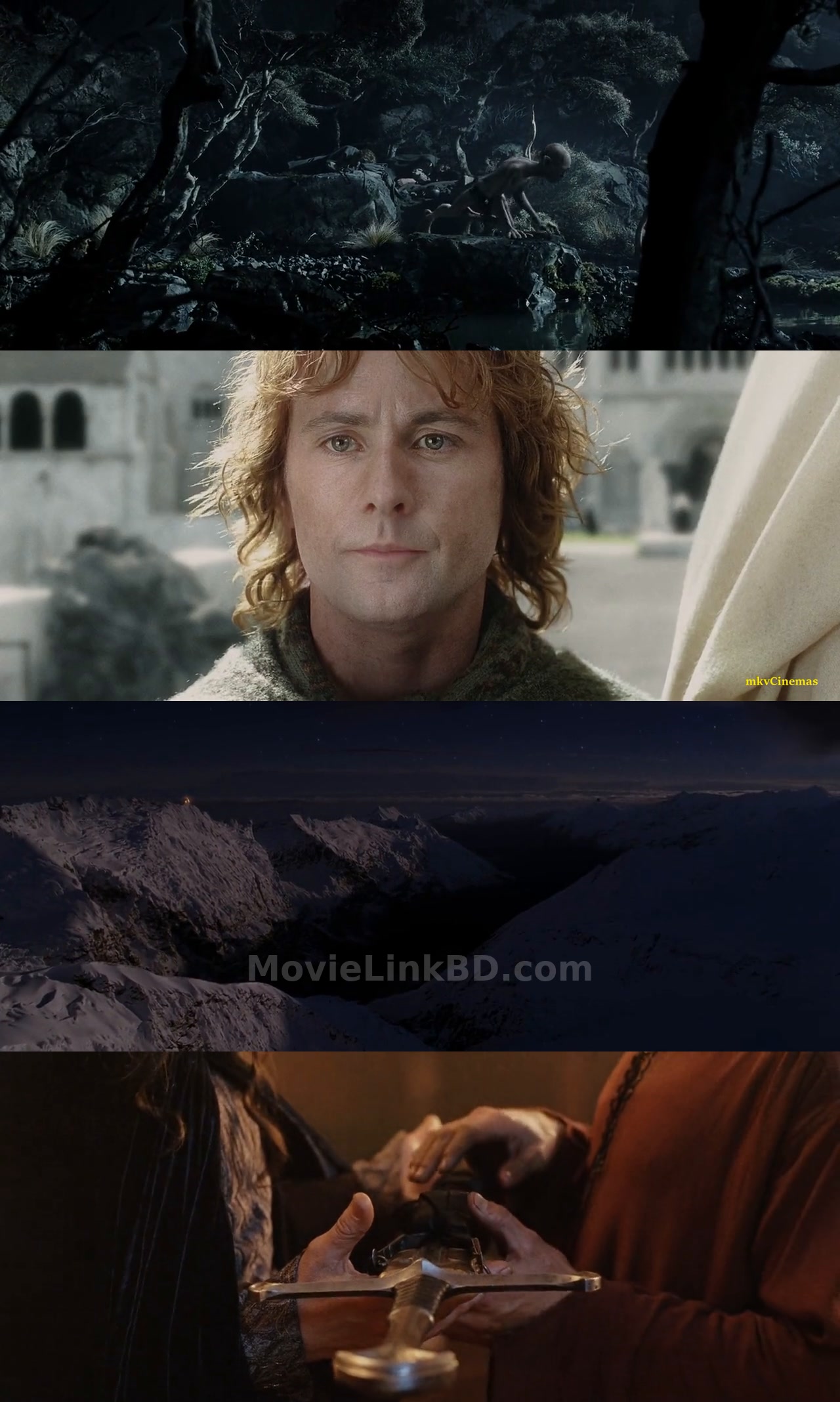 The Lord of the Rings: The Return of the King (2003) Hindi Download | MovieLinkBD TV Movie