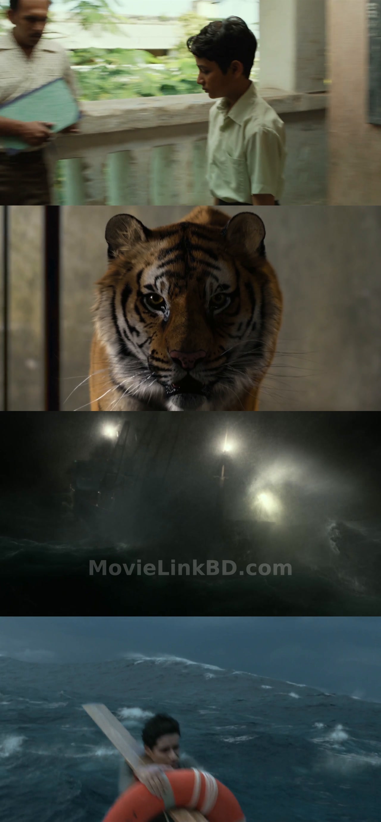 Life of Pi (2012) Dual Audio Download | MovieLinkBD Movie
