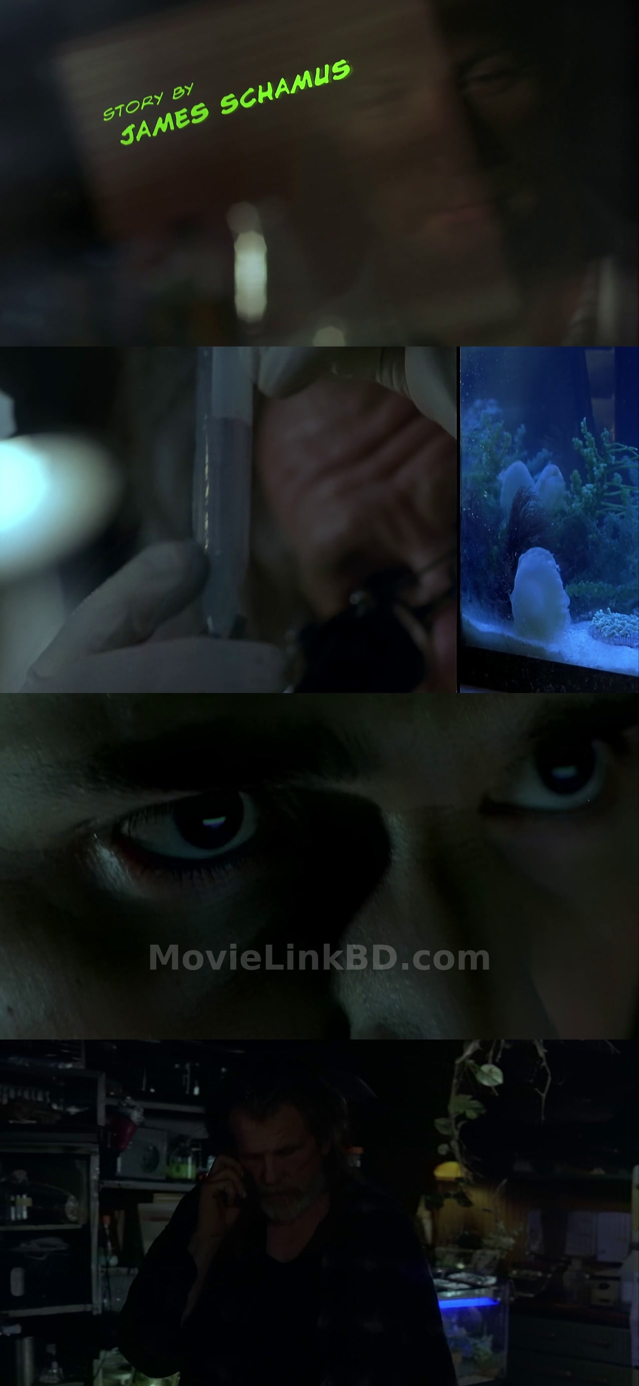 Hulk (2003) Hindi Download | MovieLinkBD Movie