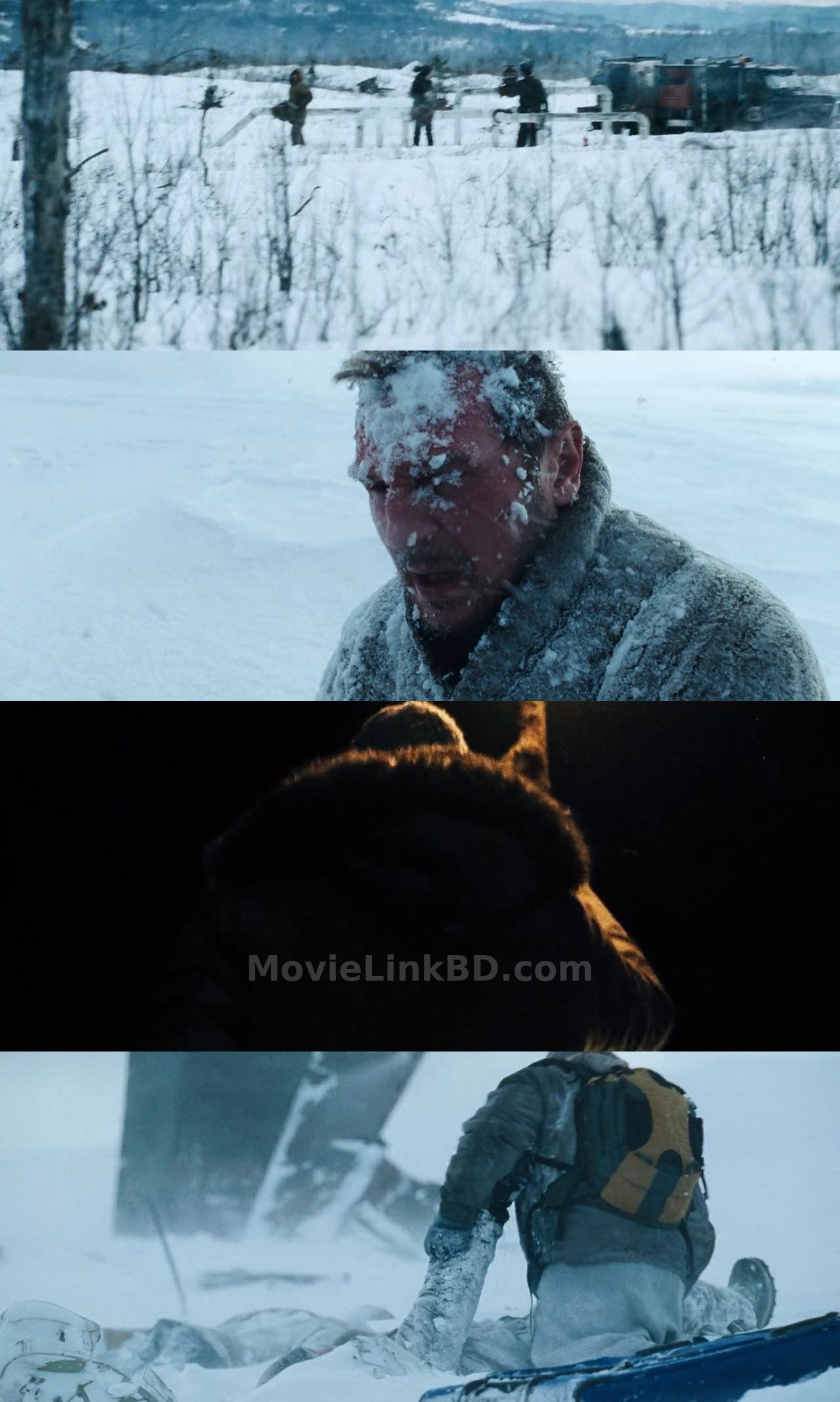 The Grey (2012) English Download | MovieLinkBD Movie