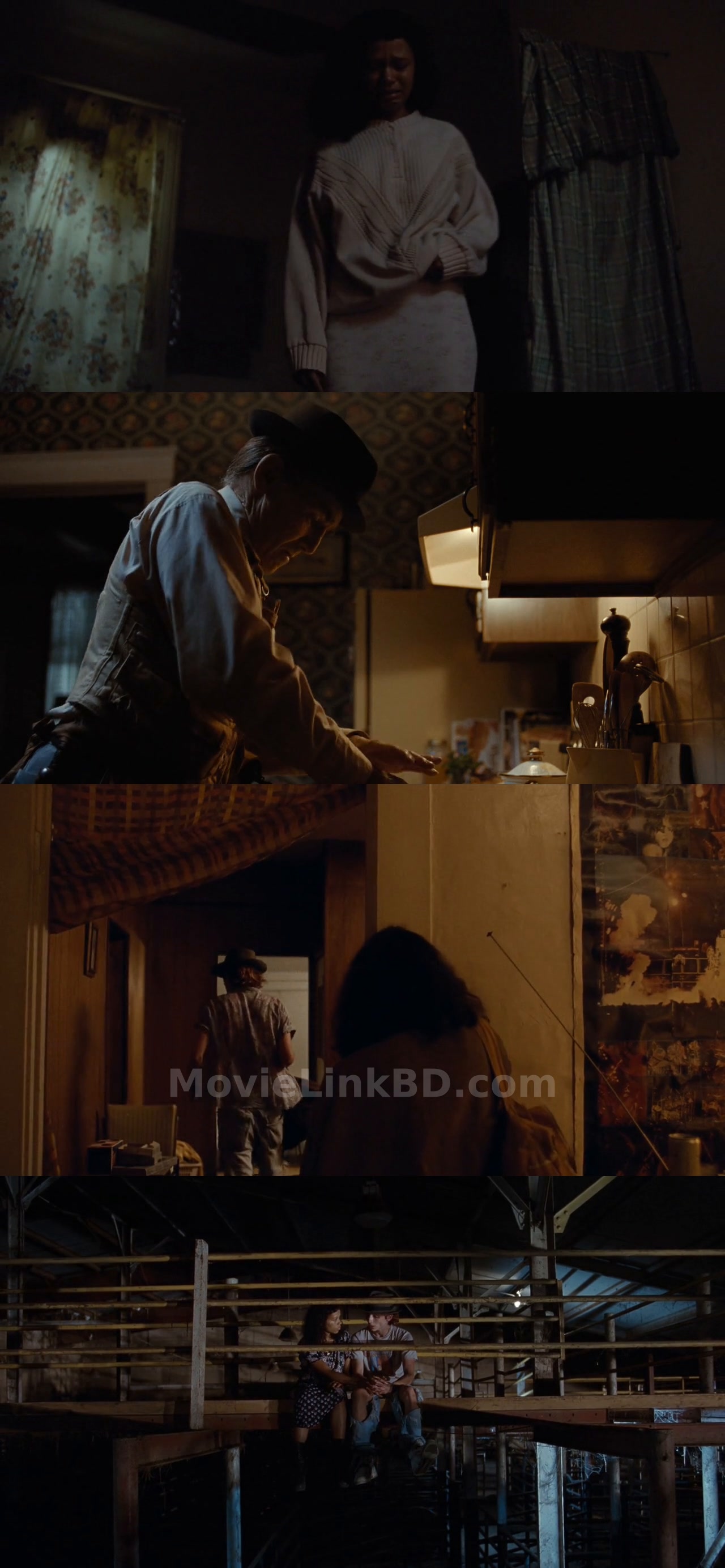 Bones and All (2022) Dual Audio Download | MovieLinkBD Movie