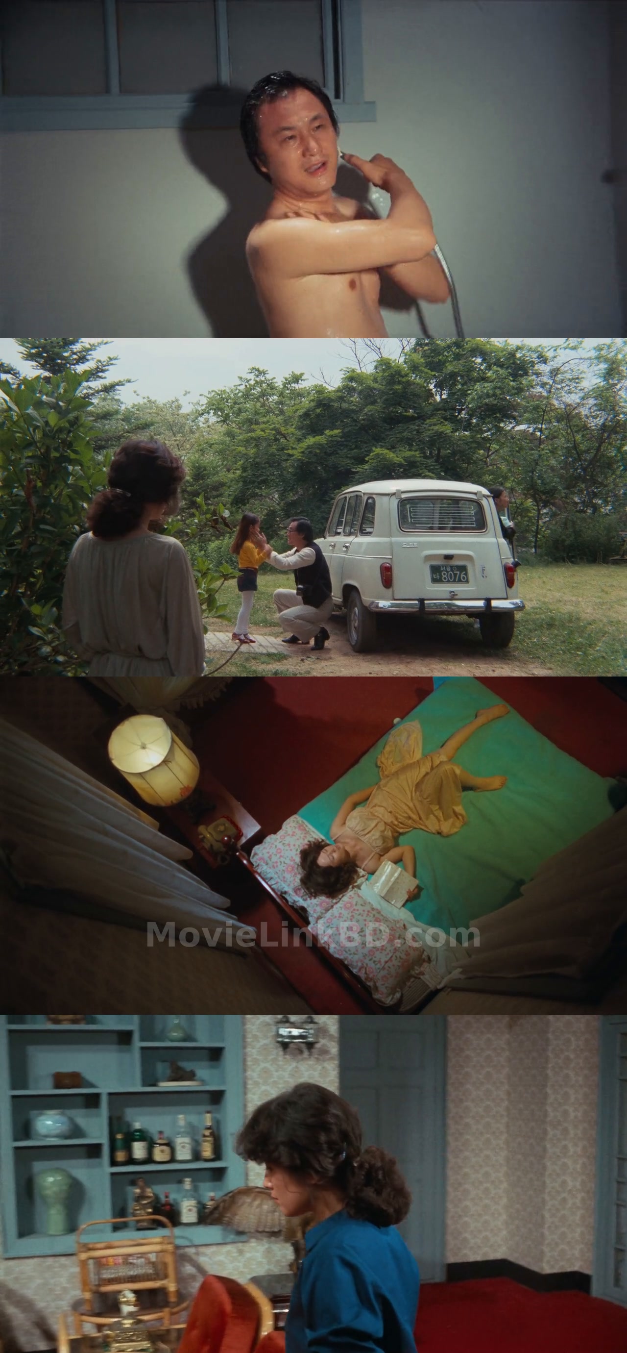 Suddenly in the Dark  Hindi ORG (1981) Korean Download | MovieLinkBD Movie