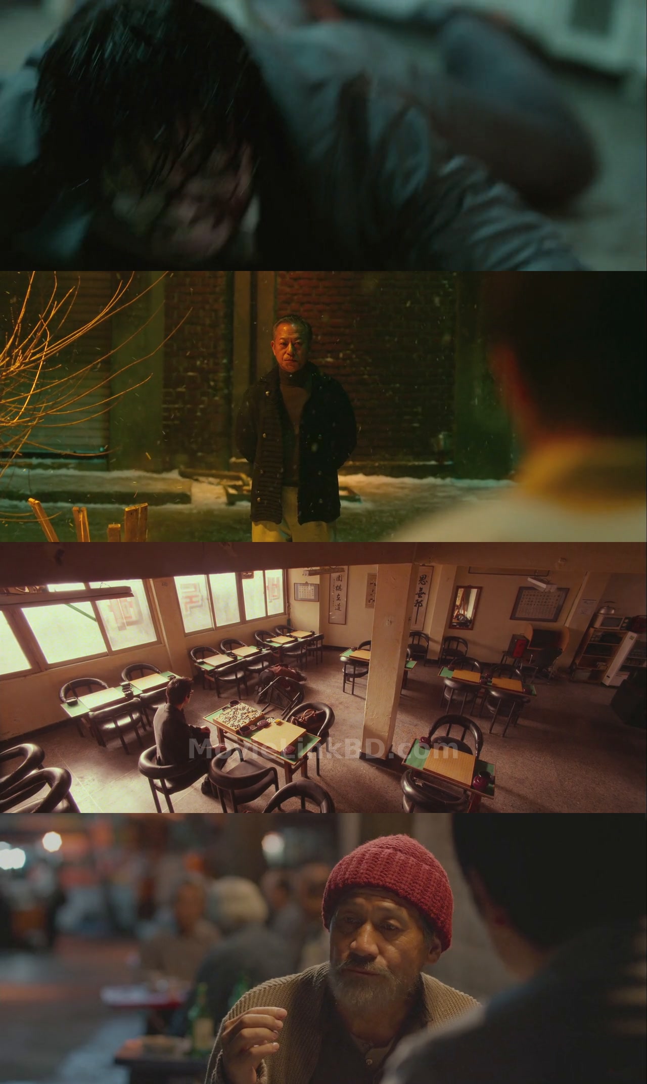 The Divine Move (2014) Hindi Download | MovieLinkBD Movie