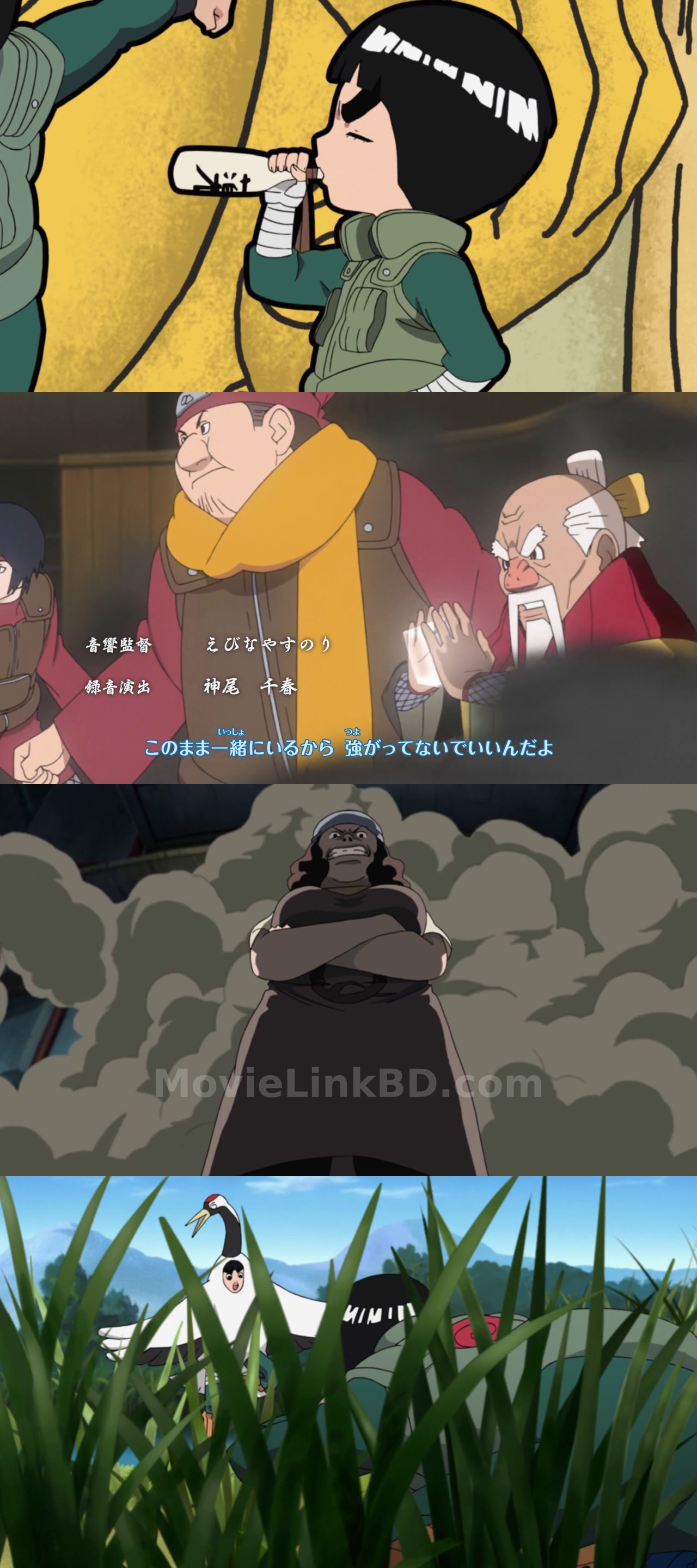 Naruto: Shippuden  S011 Ep 221-242 Hindi Dubbed (2007) S01 Hindi Dual Audio Download | MovieLinkBD Episode 228