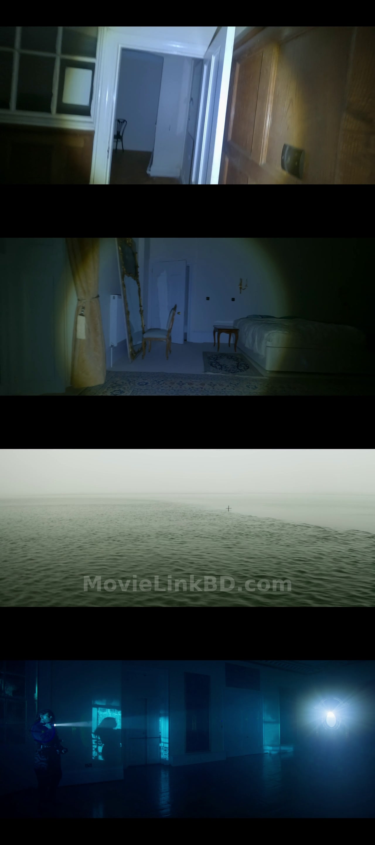 Asvins  Full HD Hindi ORG (2023) Hindi Download | MovieLinkBD Movie