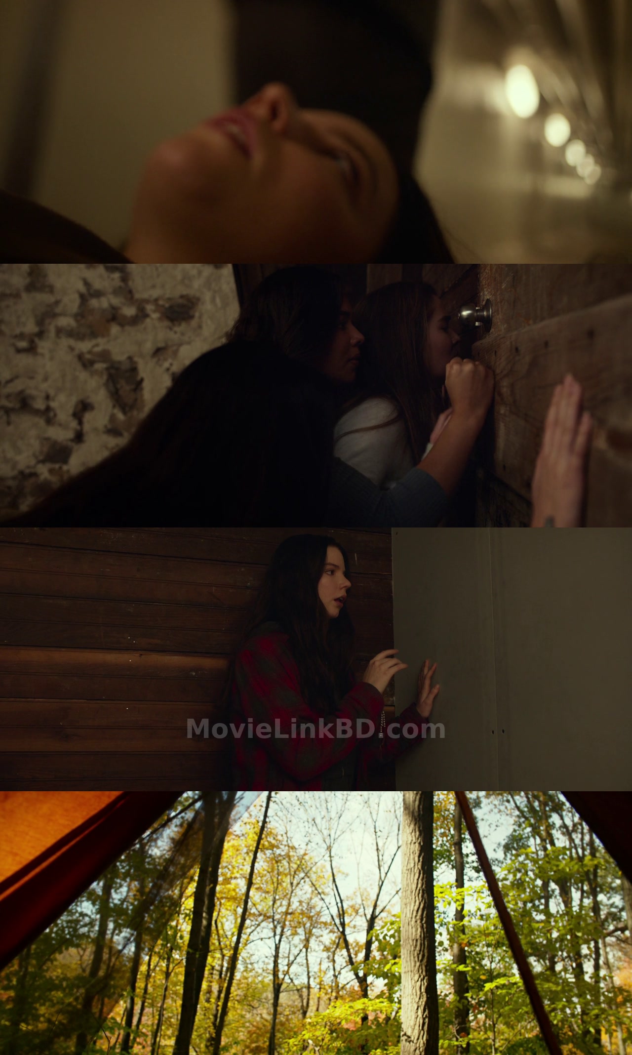 Split (2016) Hindi Download | MovieLinkBD Movie