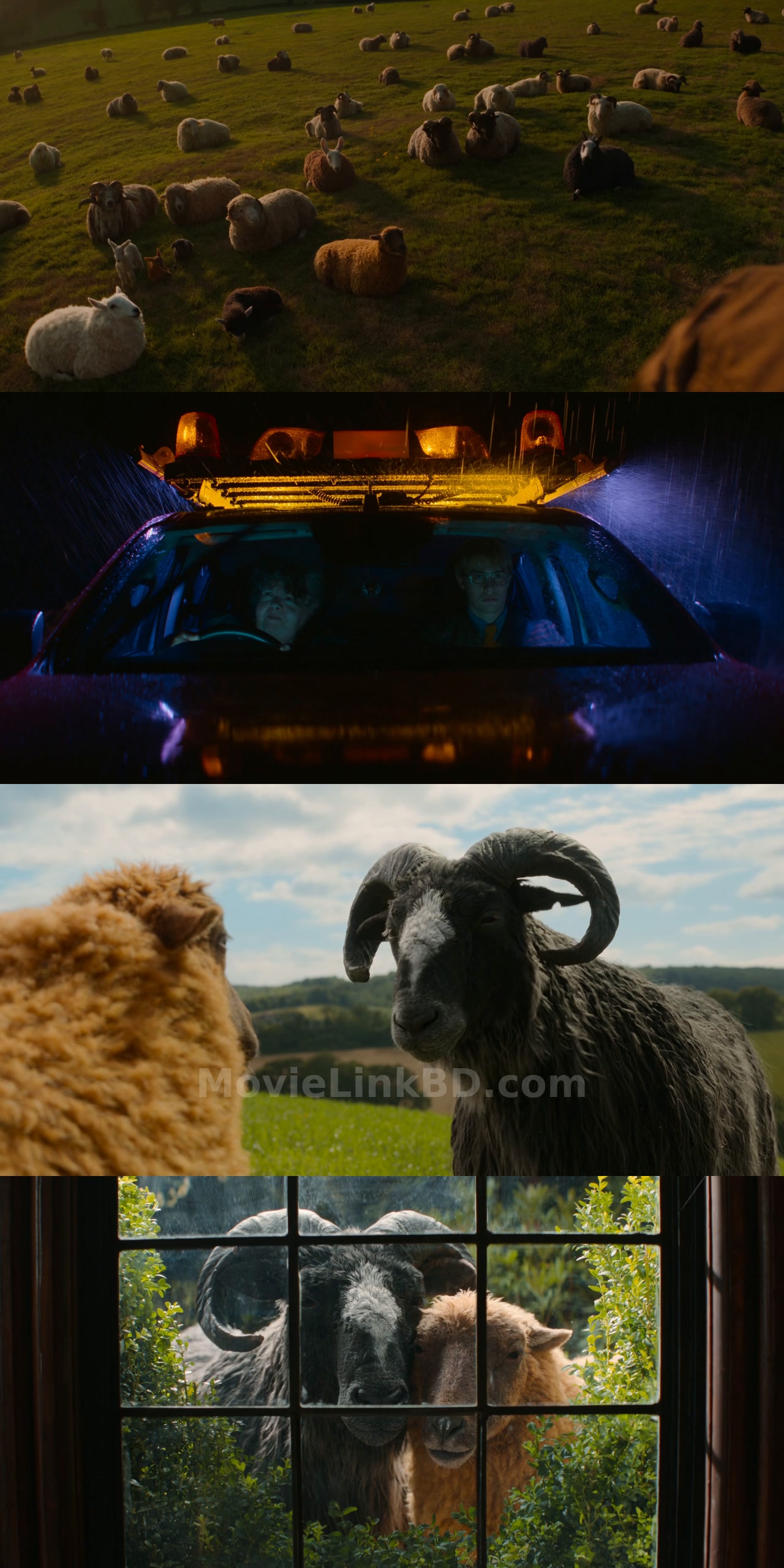 The Sheep Detectives  Full HD Hindi ORG (2026) Hindi Download | MovieLinkBD Movie