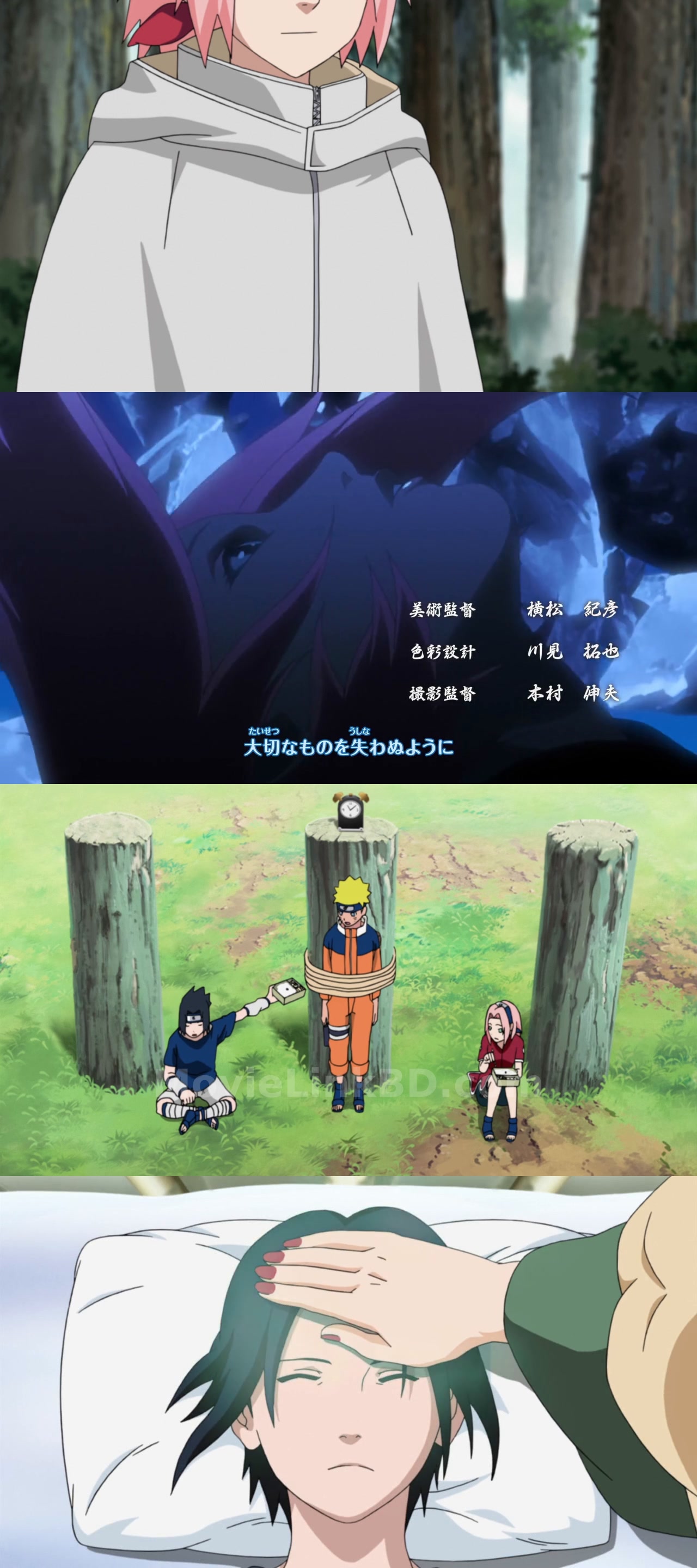 Naruto: Shippuden (2007) S10 Hindi Download | MovieLinkBD Episode 212